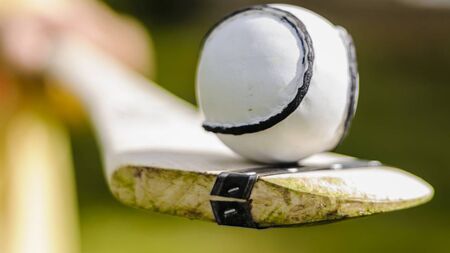 Local Notes: Hurling on the green, mass times, active retirement news