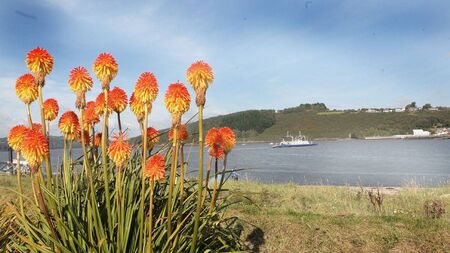 Local Notes: Hurling, all visitors welcome and mass time