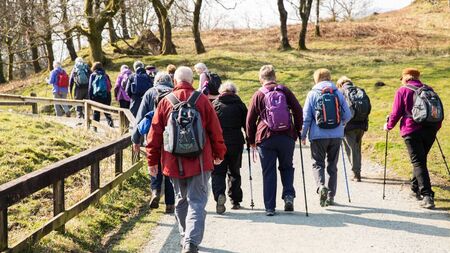 Local Notes: Active retirement group, relics of St Bernadette and hurling news