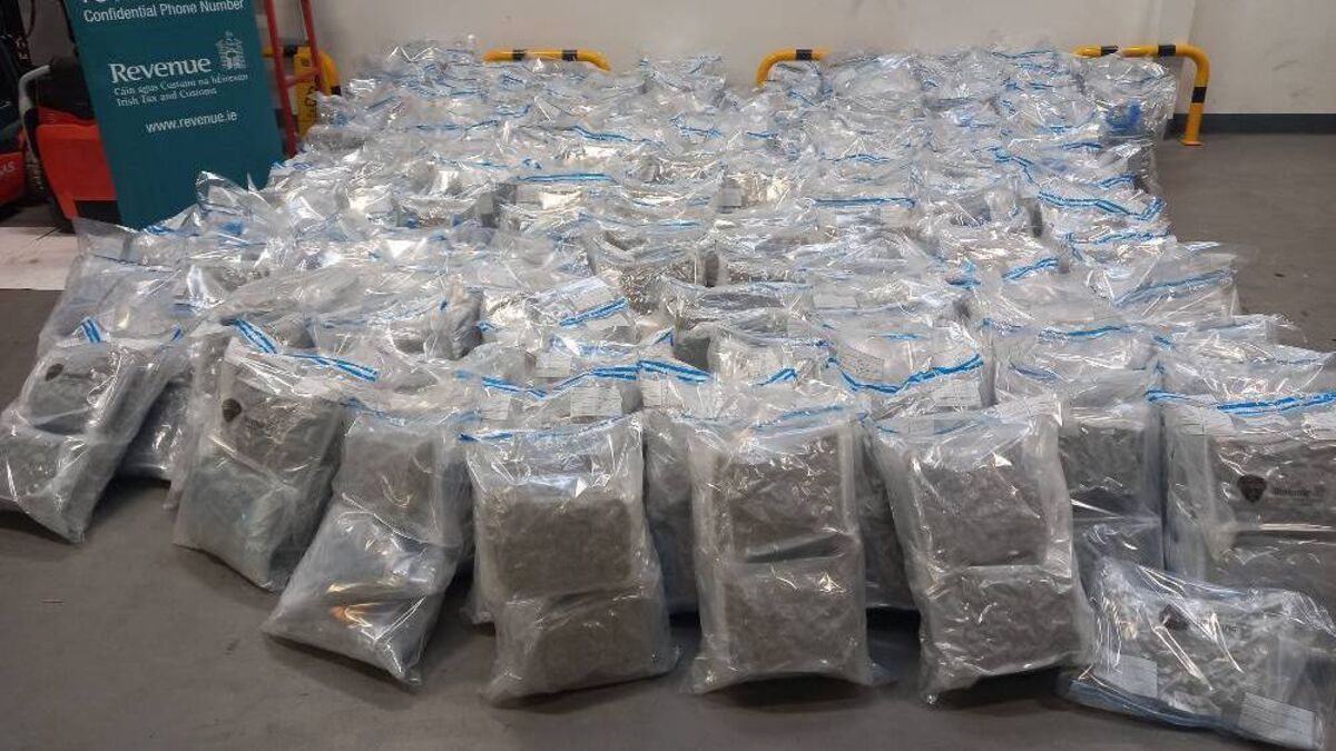 €16m worth of cannabis seized in south east