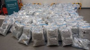 €16m worth of cannabis seized in south east €16m worth of cannabis seized in south east
