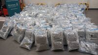 €16m worth of cannabis seized in south east