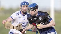 Dungarvan emerge victorious in clash of father and son 