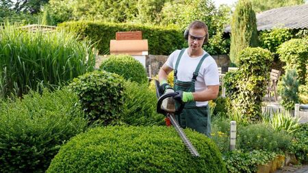 Green Fingers: Getting into shape
