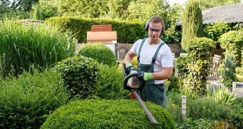 Green Fingers: Getting into shape