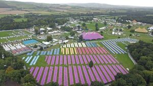 Drug safety tents to be in use at Electric Picnic Drug safety tents to be in use at Electric Picnic