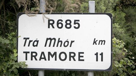 Local Notes: Outdoor gym, charity fundraiser, Tidy Towns news and Tramore Eco Group