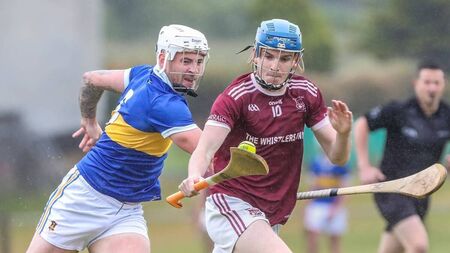 Portlaw and Mollerans final clash stirs great memories