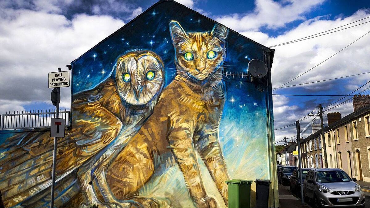 Editorial: 10 years painting pride in Waterford streetscapes