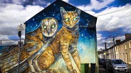 Editorial: 10 years painting pride in Waterford streetscapes