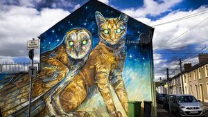Editorial: 10 years painting pride in Waterford streetscapes