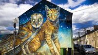 Editorial: 10 years painting pride in Waterford streetscapes