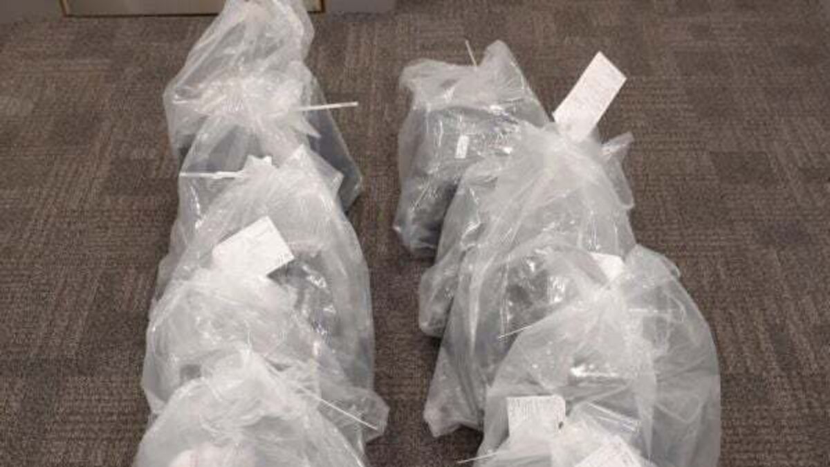 Canadian woman (21) charged with importing cannabis worth €820,000 into Belfast