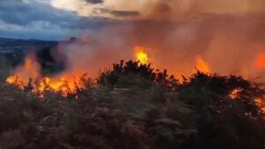 Firefighters battle gorse fire on Dublin's Killiney hill Firefighters battle gorse fire on Dublin's Killiney hill