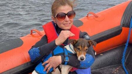 Jack Russell dog rescued from Lough Ree this morning