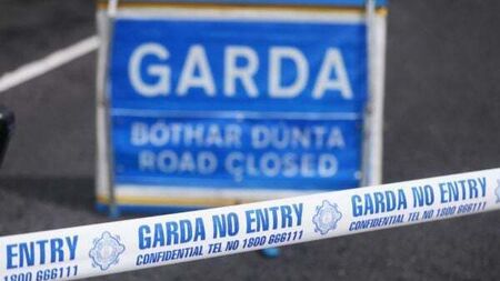 Young girl treated in hospital following dog attack in Co Kerry