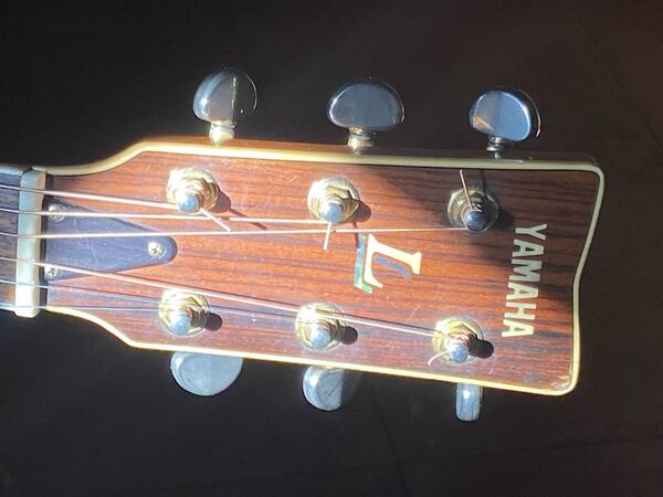 The Yamaha LL model is very distinctive and would be rare in Ireland