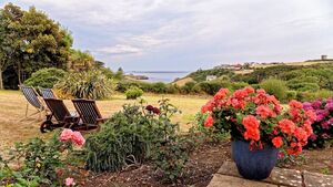 Green Fingers: Oh I do like to be beside the seaside Green Fingers: Oh I do like to be beside the seaside