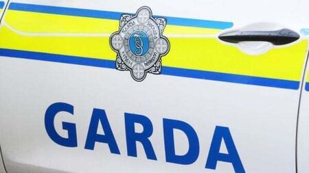 Gardaí appeal for witnesses after woman (70s) injured during Dundalk robbery