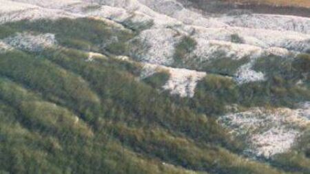 'Elevated' levels of bacteria at County Waterford beach