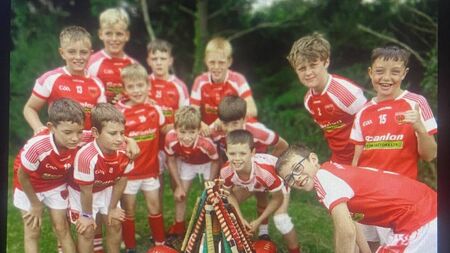 Local Notes: Underage hurling success, Faithlegg Church 200 and schools reopen
