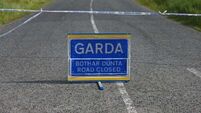 Cousins killed in single-vehicle road crash