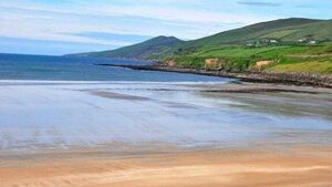 Man who died when saving children at Inch beach praised for 'heroism' at his funeral mass Man who died when saving children at Inch beach praised for 'heroism' at his funeral mass