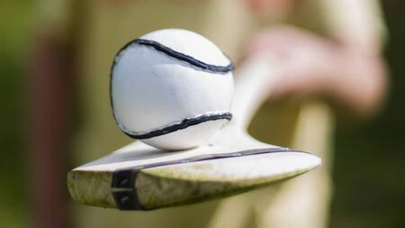 Local Notes: Scouts, camogie, GAA and soccer club news