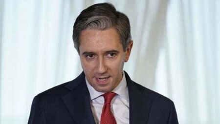 Taoiseach describes Sinn Féin’s housing proposal as ‘Frankenstein-style’ plan Taoiseach describes Sinn Féin’s housing proposal as ‘Frankenstein-style’ plan