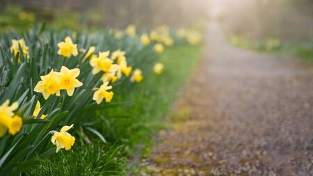 Green Fingers: Have a light bulb moment