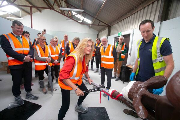 Oireachtas members watch on as MEP Cynthia Ní Mhurchú, takes part in a calf delivery demonstration as part of a tour of Teagasc Kildalton College. The tour, organised by SETU, featured a briefing on the progress of its proposed veterinary medicine and pharmacy programmes at the University. Photograph: Patrick Browne Oireachtas members watch on as MEP Cynthia Ní Mhurchú, takes part in a calf delivery demonstration as part of a tour of Teagasc Kildalton College. The tour, organised by SETU, featured a briefing on the progress of its proposed veterinary medicine and pharmacy programmes at the University. Photograph: Patrick Browne