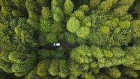 Waterford Forest Owners Group visit Ballyvoile farm