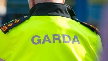 Woman arrested after €60k of MDMA seized in Louth