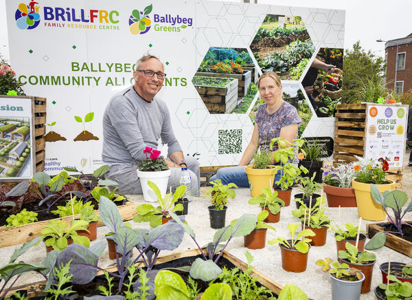  Glen Lynch and Lisa Fitzgerald, Ballybeg Greens, at the Waterford Harvest Festival. Photo: Joe Evans