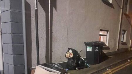 Dumping on Manor Street in Waterford 'not acceptable' says Councillor