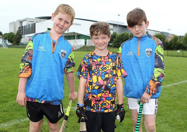 Frankie Hayden, Leo Walsh and Darragh Morrissey at the Ferrybank GAA Club Cúl camp.