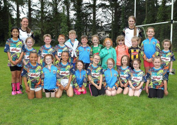 The 6-8 year olds at the Ferrybank GAA Club Kellog's Cúl Camp. 