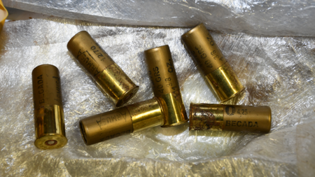 Man arrested after gardaí seize shotgun and ammunition in Co Cork