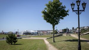 Local Notes: Soccer legend returns, market slots, sympathies and Tidy Towns news Local Notes: Soccer legend returns, market slots, sympathies and Tidy Towns news
