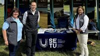 SETU in Waterford "poll position" for veterinary medicine course