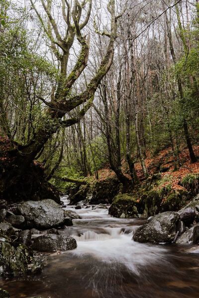 Comeragh Mountains walking trail