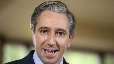 Poll shows rise in support for Fine Gael and Simon Harris