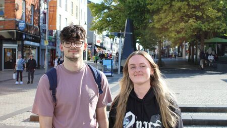 Waterford reacts to SETU's new veterinary medicine course