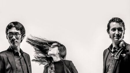 Waterford Music welcomes talented international Piano Trio to the Déise