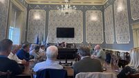 Motion for Ukrainian people to stay in Déise
