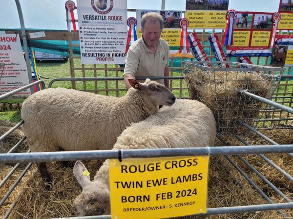 Shay Kennedy from Carrick-on-Suir with his Rouge Cross ewe lambs at the National Ploughing Championships.