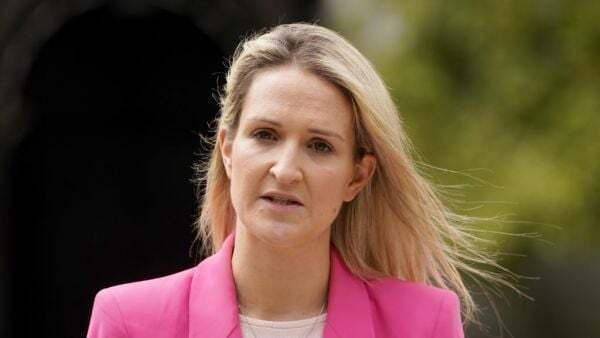 Hate speech legislation to be scrapped, McEntee confirms