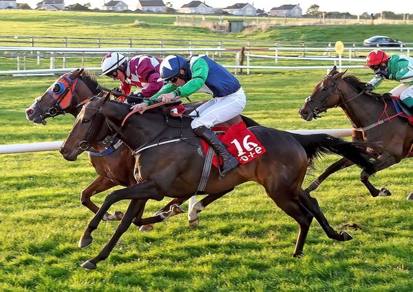 Heads up, heads down as Mabel by May gets up in the shadows of the post to beat Scottish Dancer in the concluding handicap hurdle. 
