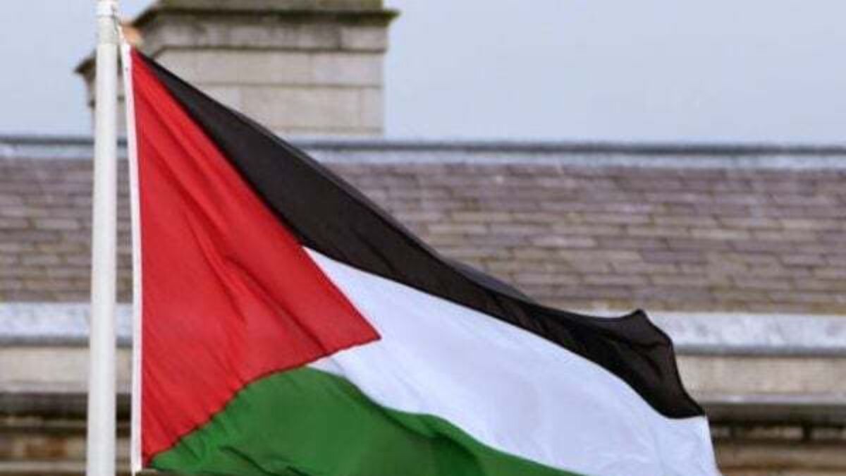 Leinster House flag case reduced from burglary to trespass