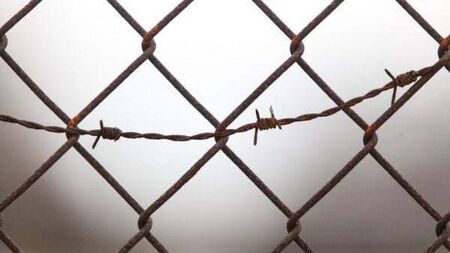 Joint Committee on Traveller issues to discuss Travellers in prison